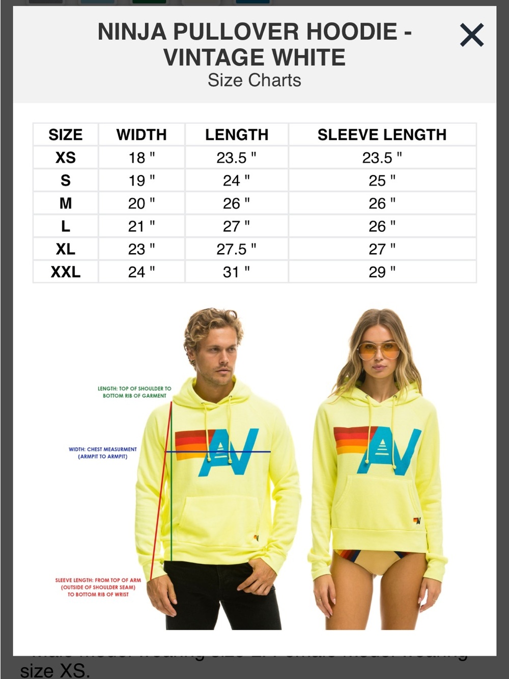 Aviator Nation Cream Hoodie with Small Multicolor Logo - Picture 5 of 5